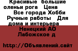 Красивые  большие оленьи рога › Цена ­ 3 000 - Все города Хобби. Ручные работы » Для дома и интерьера   . Ненецкий АО,Лабожское д.